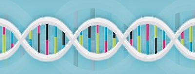 How to make gene optimization for expression in Escherichia coli a piece of cake